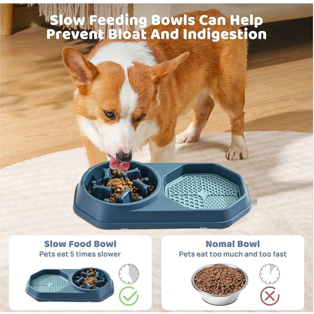 Pet Slow Feeder Bowl - Bloat Prevention, Double Bowl, Interactive Fun Feeder